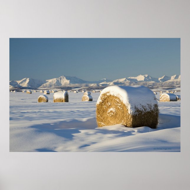 Snow-Covered Hay Bales Poster (Front)