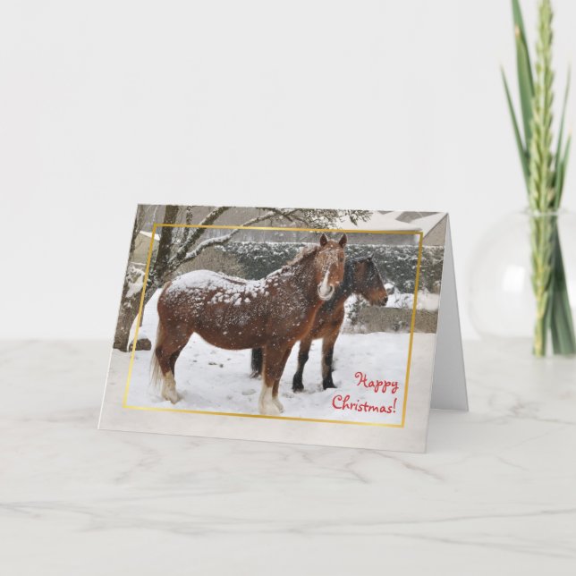 Snow covered horses Christmas Holiday Card (Front)