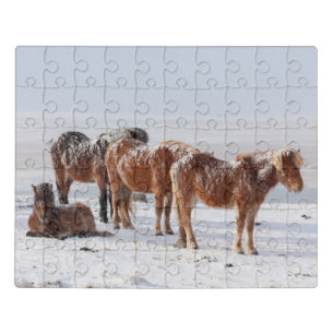 Snow Covered Icelandic Horses Jigsaw Puzzle