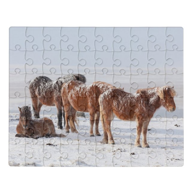 Snow Covered Icelandic Horses Jigsaw Puzzle (Puzzle Horizontal)