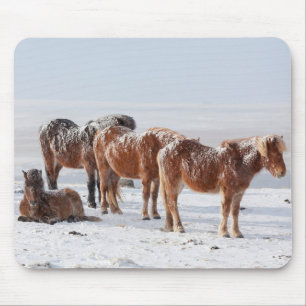 Snow Covered Icelandic Horses Mouse Pad
