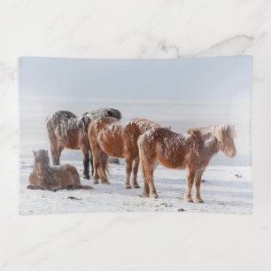 Snow Covered Icelandic Horses Trinket Tray