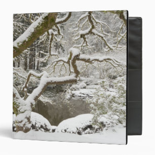 Snow-covered Japanese maple 3 Ring Binder
