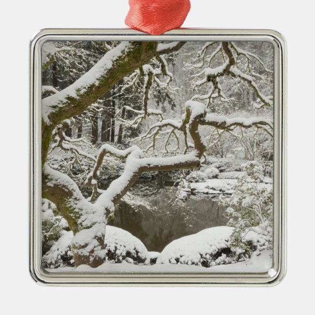 Snow-covered Japanese maple Metal Ornament (Front)