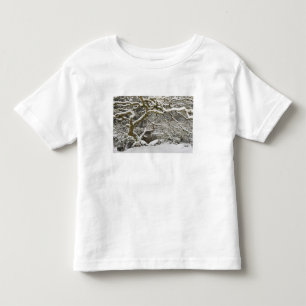 Snow-covered Japanese maple Toddler T-shirt