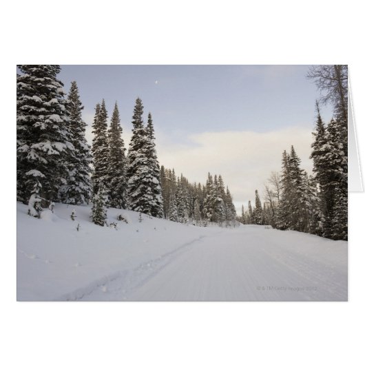 Snow-covered landscape cards (Front Horizontal)