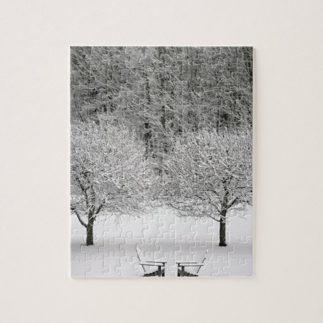 Snow covered landscape jigsaw puzzle (Vertical)
