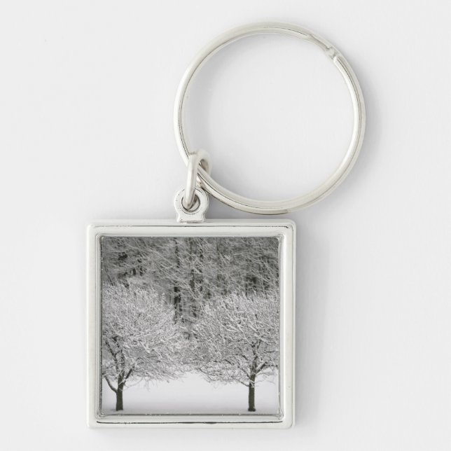 Snow covered landscape keychain (Front)