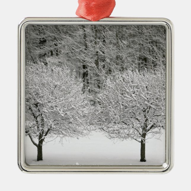 Snow covered landscape metal ornament (Front)