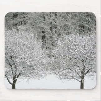 Snow covered landscape mouse pad