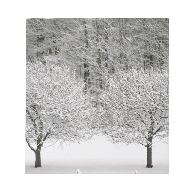Snow covered landscape notepad (Front)