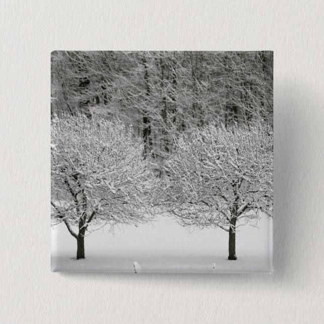 Snow covered landscape pinback button (Front)