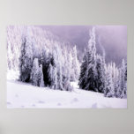 Snow Covered Landscape Poster at Zazzle
