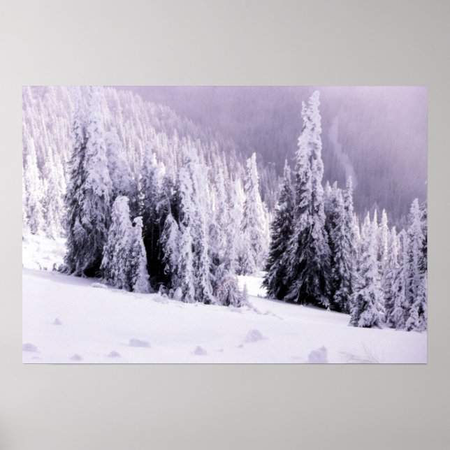 Snow covered landscape poster (Front)