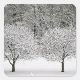 Snow covered landscape square sticker