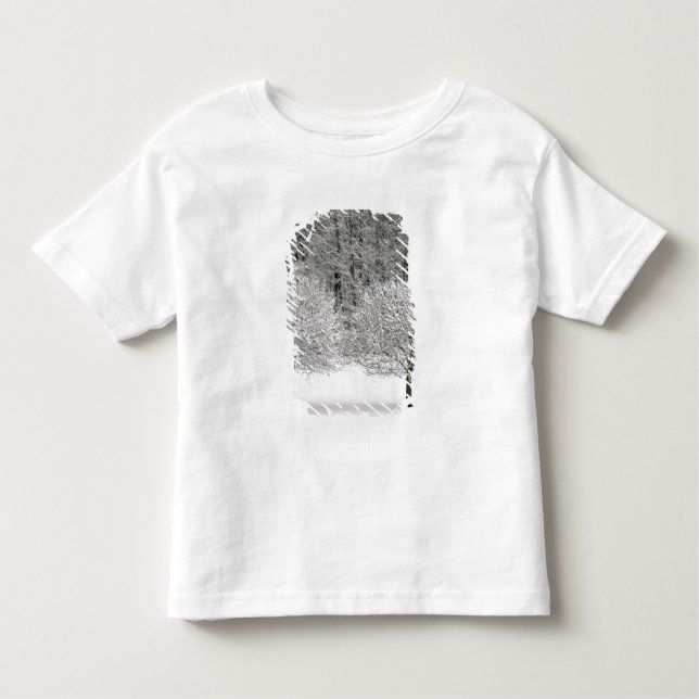Snow covered landscape toddler t-shirt (Front)