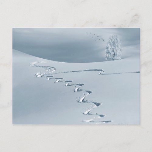 Snow covered landscape with ski tracks tree birds postcard