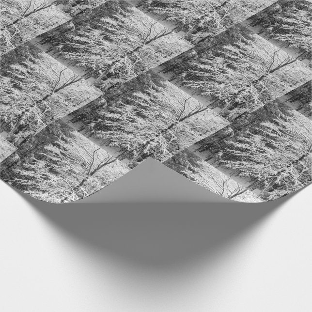 Snow Covered Maple Tree In Winter Wrapping Paper (Corner)