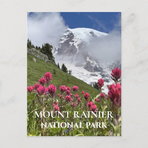 Snow Covered Mount Rainier Indian Paintbrush Postcard