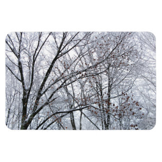 Snow-covered Oak Tree Magnet