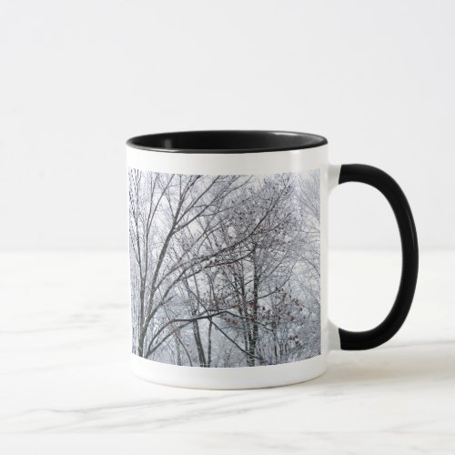 Snow_covered Oak Tree Mug