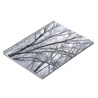 Snow-covered Oak Tree Notebook