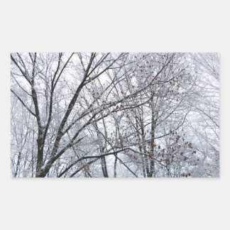 Snow-covered Oak Tree Rectangular Sticker
