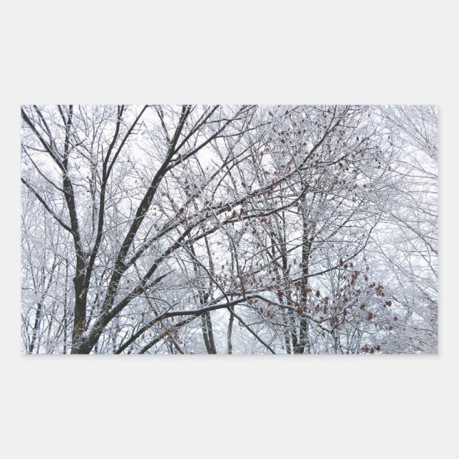 Snow-covered Oak Tree Rectangular Sticker (Front)