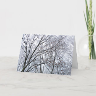Snow-covered Oak Tree Season's Greetings card