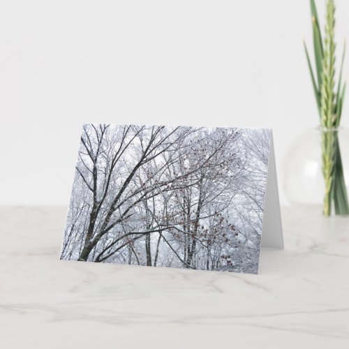Snow_covered Oak Tree Seasons Greetings card