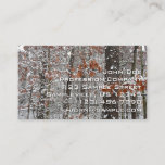 Snow Covered Oak Trees Winter Nature Photography Business Card