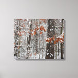 Snow Covered Oak Trees Winter Nature Photography Canvas Print