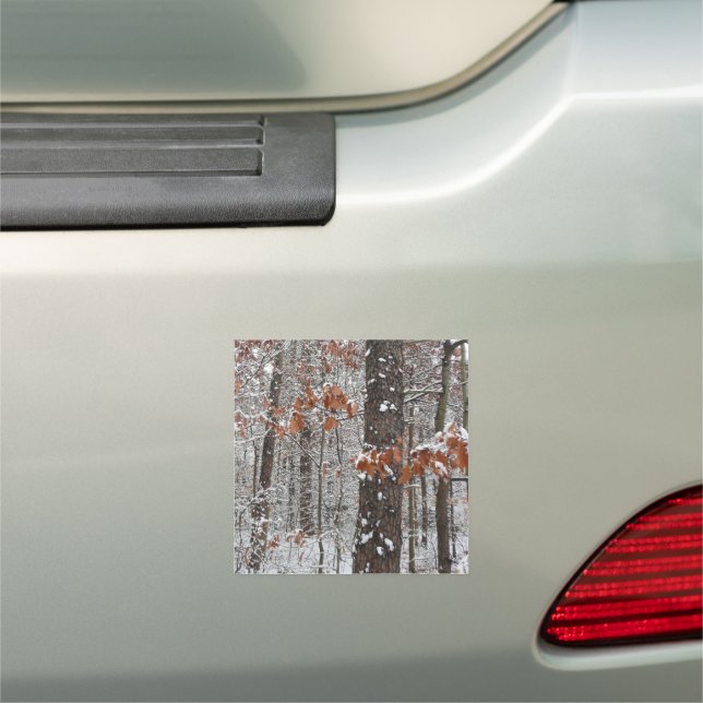 Snow Covered Oak Trees Winter Nature Photography Car Magnet (In Situ)