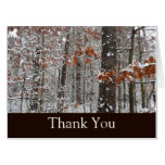 Snow Covered Oak Trees Winter Nature Photography Card