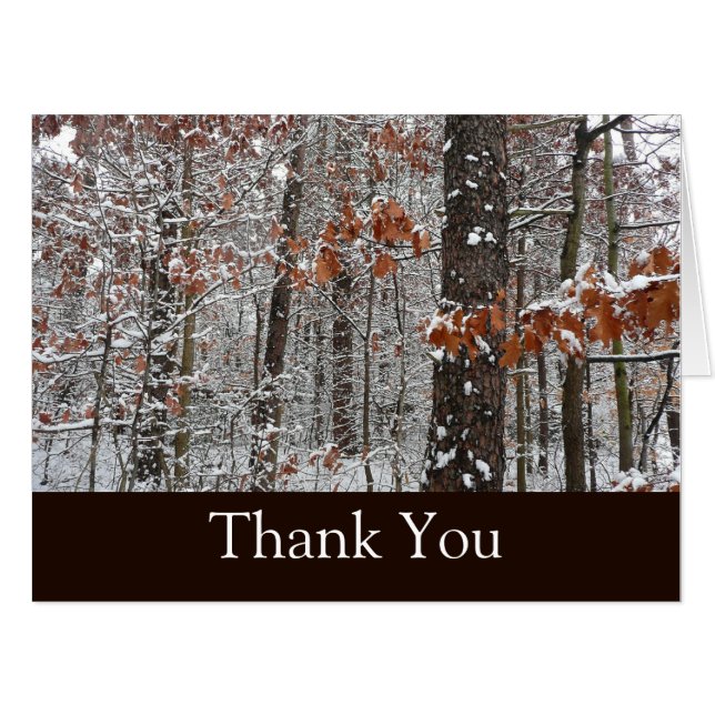 Snow Covered Oak Trees Winter Nature Photography Card (Front Horizontal)