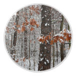 Snow Covered Oak Trees Winter Nature Photography Ceramic Knob