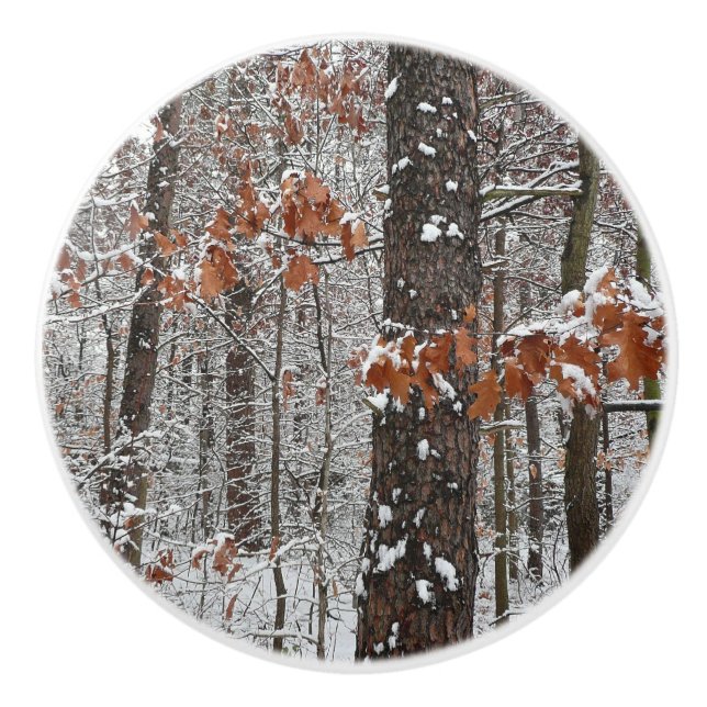 Snow Covered Oak Trees Winter Nature Photography Ceramic Knob (Front)