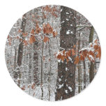 Snow Covered Oak Trees Winter Nature Photography Classic Round Sticker