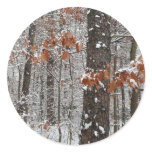 Snow Covered Oak Trees Winter Nature Photography Classic Round Sticker