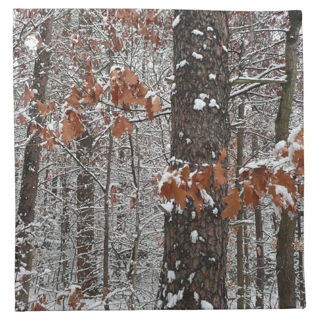 Snow Covered Oak Trees Winter Nature Photography Cloth Napkin (Front)