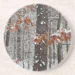 Snow Covered Oak Trees Winter Nature Photography Drink Coaster