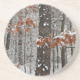 Snow Covered Oak Trees Winter Nature Photography Drink Coaster