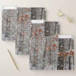 Snow Covered Oak Trees Winter Nature Photography File Folder