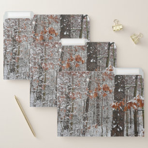 Snow Covered Oak Trees Winter Nature Photography File Folder