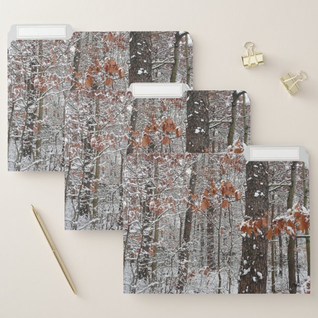 Snow Covered Oak Trees Winter Nature Photography File Folder (Set)