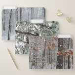 Snow Covered Oak Trees Winter Nature Photography File Folder