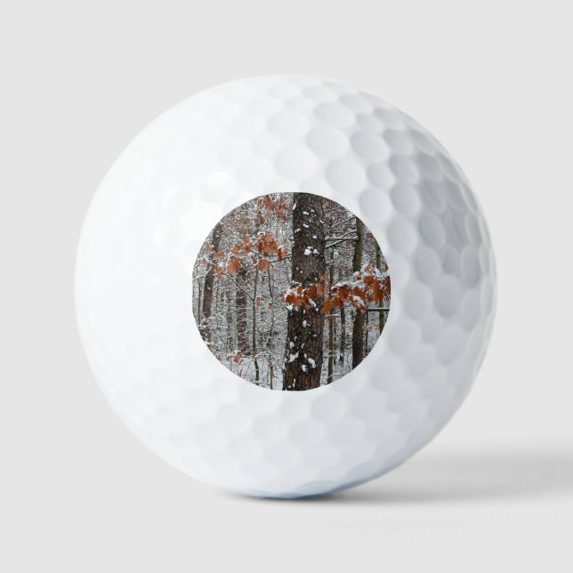 Snow Covered Oak Trees Winter Nature Photography Golf Balls (Front)