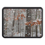 Snow Covered Oak Trees Winter Nature Photography Hitch Cover