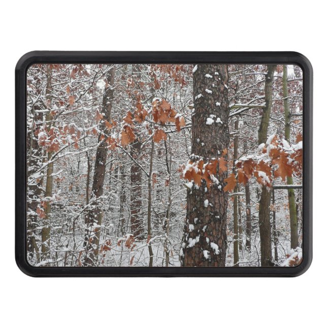 Snow Covered Oak Trees Winter Nature Photography Hitch Cover (Front)