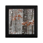 Snow Covered Oak Trees Winter Nature Photography Jewelry Box